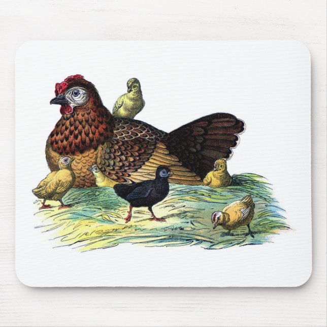 Chickens Vintage Animal Mouse Pad (Front)