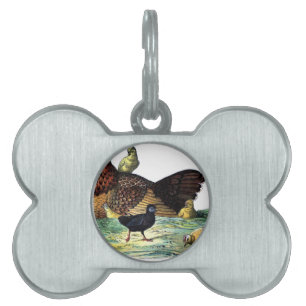 Chickens Vintage Animal Pet ID Tag