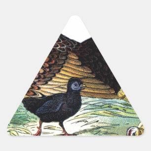 Chickens Vintage Animal Triangle Sticker