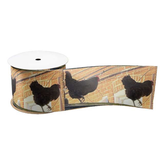 Chickens Walking Photo Ribbon  Satin Ribbon (Spool)