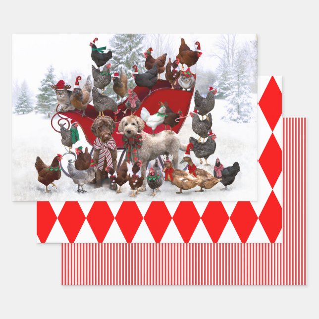 CHICKENS WITH SANTA HATS AND DOGS WRAPPING PAPER (Set)