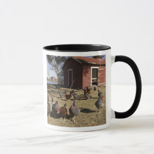 Chickens working grounds near hen house Cliburn Mug