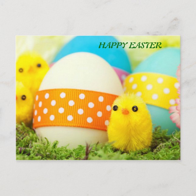 chicks and easter eggs holiday postcard (Front)