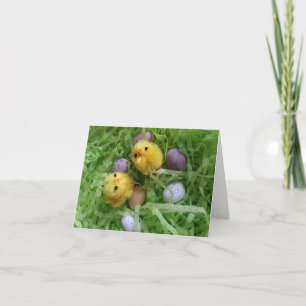 Chicks and Eggs Card