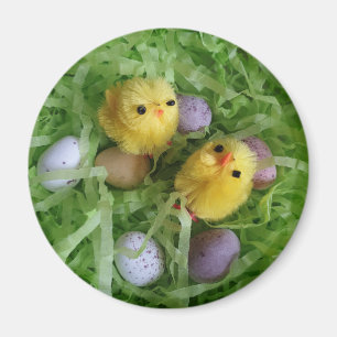 Chicks and Eggs Magnet