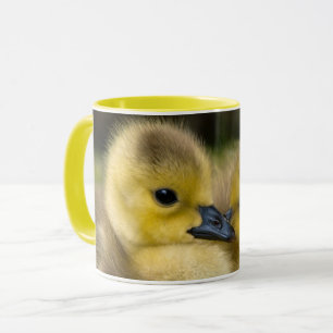CHICKS CUDDLING MUG