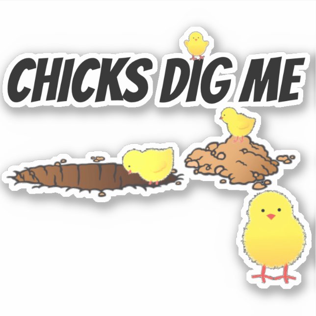 CHICKS DIG ME (Front)