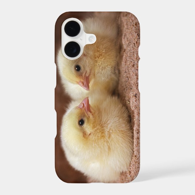 Chicks iPhone 11 Case (Back)