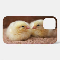 Chicks iPhone 12 Case
