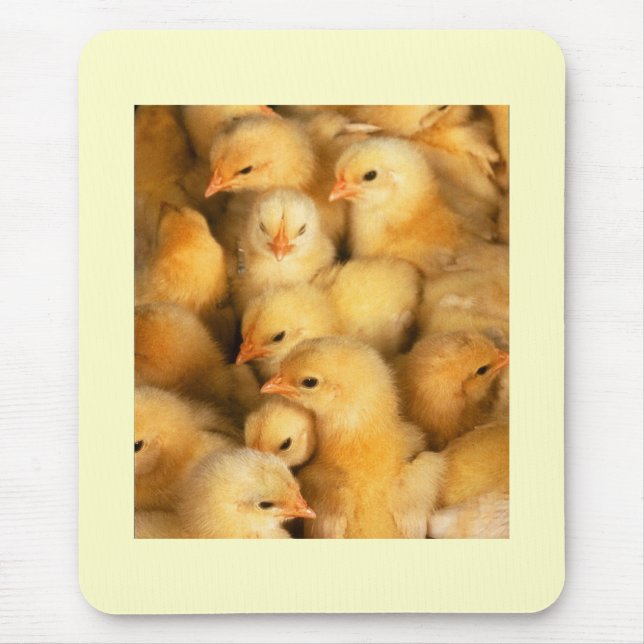 Chicks Mouse Pad (Front)