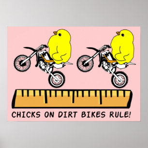 Chicks On Dirt Bikes Rule Motocross Poster Print