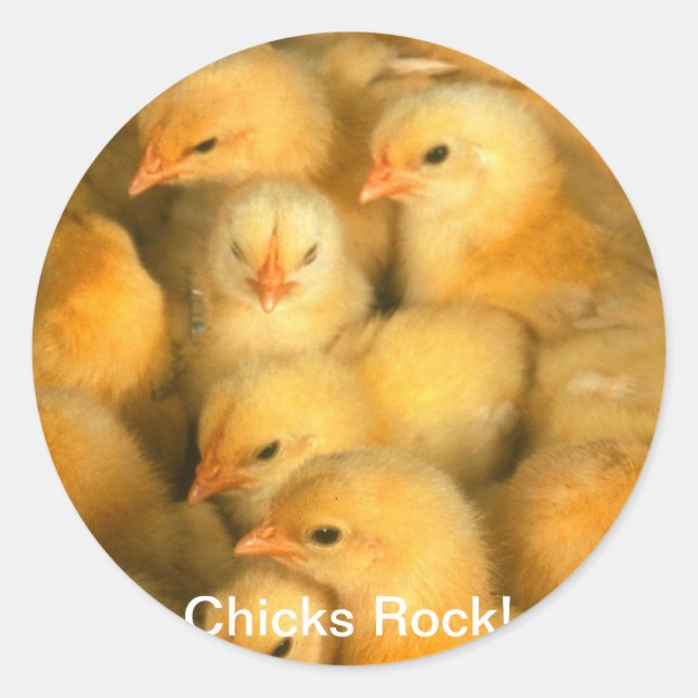Chicks Rock! Baby Chicks Chick Chicken Chickens Classic Round Sticker (Front)