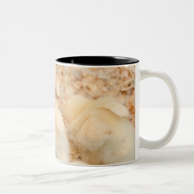 chicks Two-Tone coffee mug (Right)