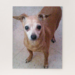 Chico Chiwawa Jigsaw Puzzle