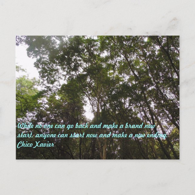 Chico Xavier Quotes Postcard (Front)