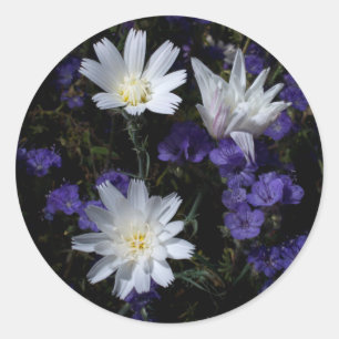 Chicory and Phacelia Wildflowers Classic Round Sticker