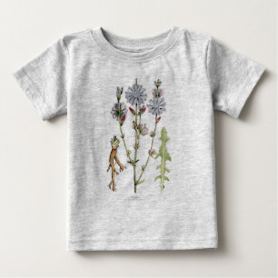 Chicory Baby T-Shirt