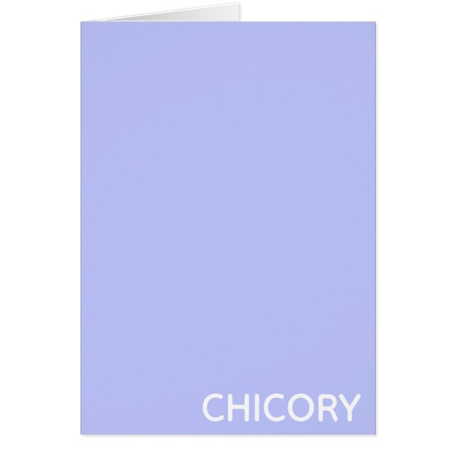 Chicory Flower blue colour name (Front)