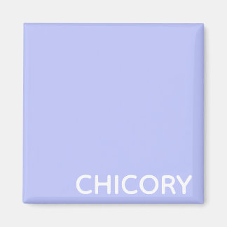 Chicory Flower blue colour name Magnet