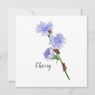 Chicory Flowers Watercolor Flat Card