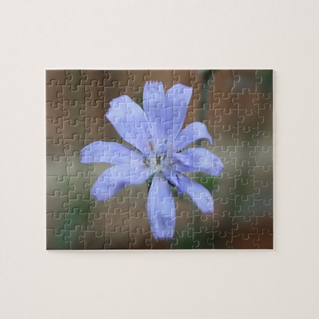 Chicory Jigsaw Puzzle (Horizontal)