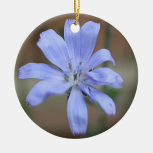 Chicory Ornament