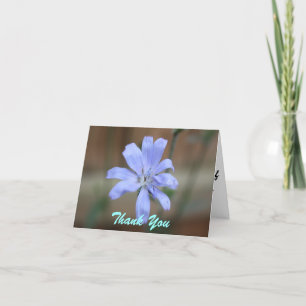 Chicory Thank You Note Cards