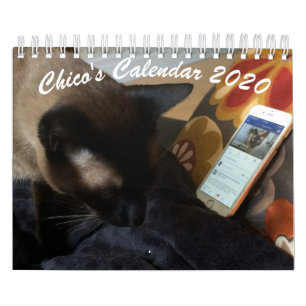 Chico's Calendar 2020
