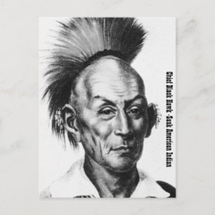 Chief Black Hawk Postcard