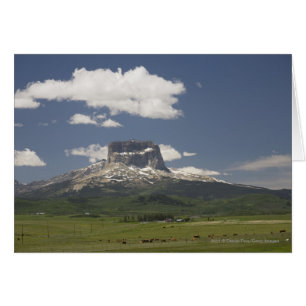 Chief Mountain With Pastures Of Grazing Cattle