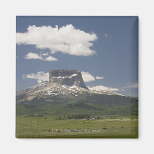 Chief Mountain With Pastures Of Grazing Cattle Magnet