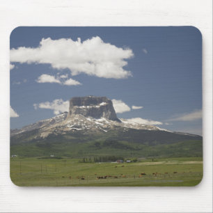 Chief Mountain With Pastures Of Grazing Cattle Mouse Pad
