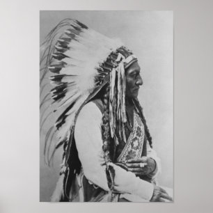 Chief Sitting Bull Poster