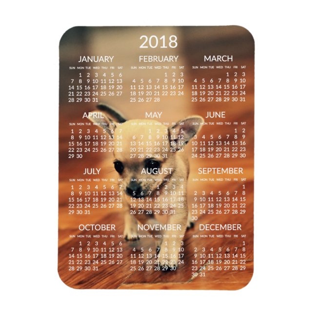 Chihuahua 2018 Calendar Photo Magnet 3x4 Small (Vertical)