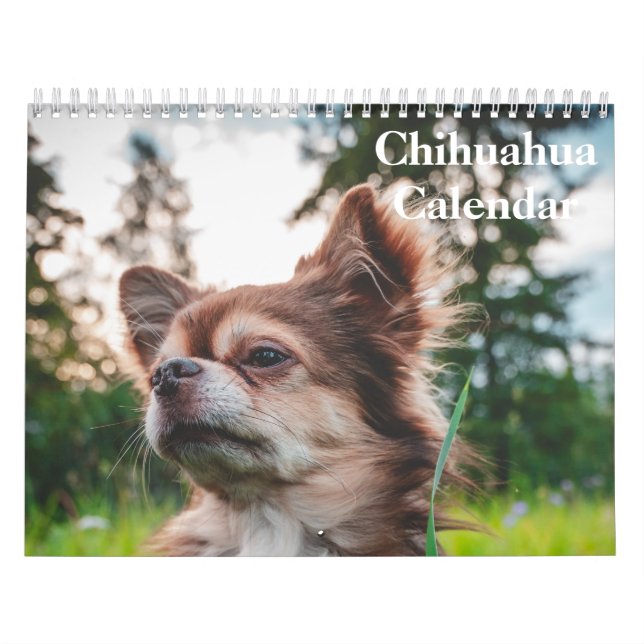 Chihuahua 2026 calendar (Cover)