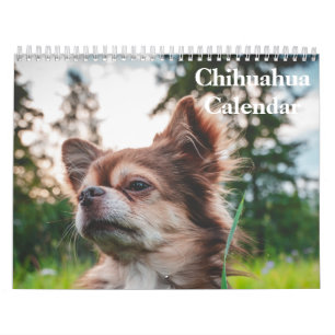 Chihuahua 2027 calendar