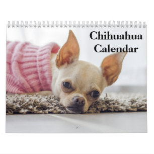 Chihuahua 2027 calendar