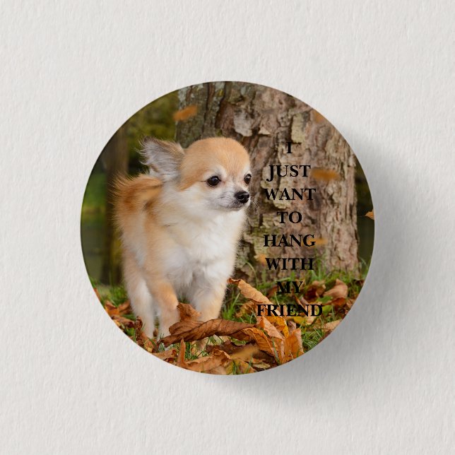 Chihuahua    3 cm round badge (Front)