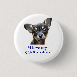 chihuahua 3 cm round badge