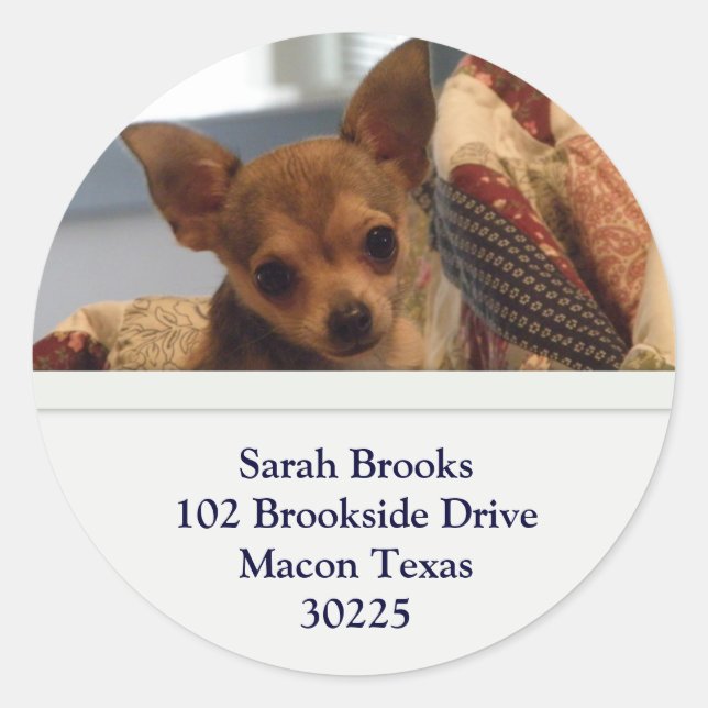 Chihuahua Address Stickers (Front)