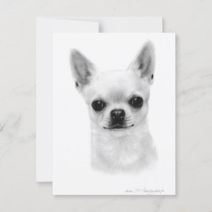 Chihuahua Beauty - Hand Painted Pet Portrait Postcard