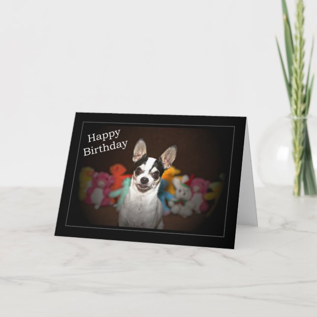 Chihuahua Birthday Card (Front)