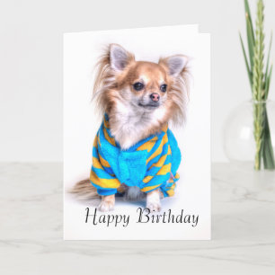 Chihuahua Birthday Card