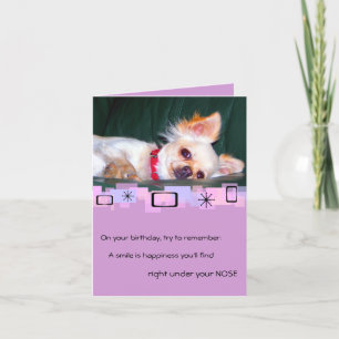 Chihuahua Birthday Greeting Card