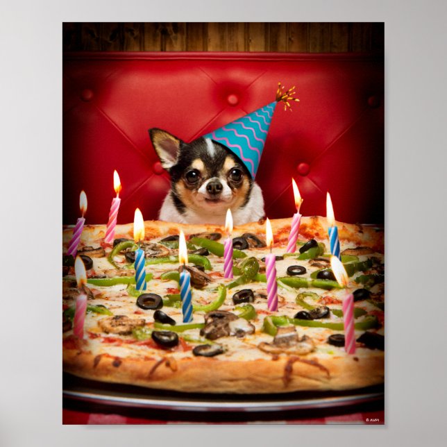 Chihuahua Birthday Pizza Pie Poster (Front)