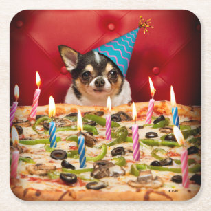 Chihuahua Birthday Pizza Pie Square Paper Coaster
