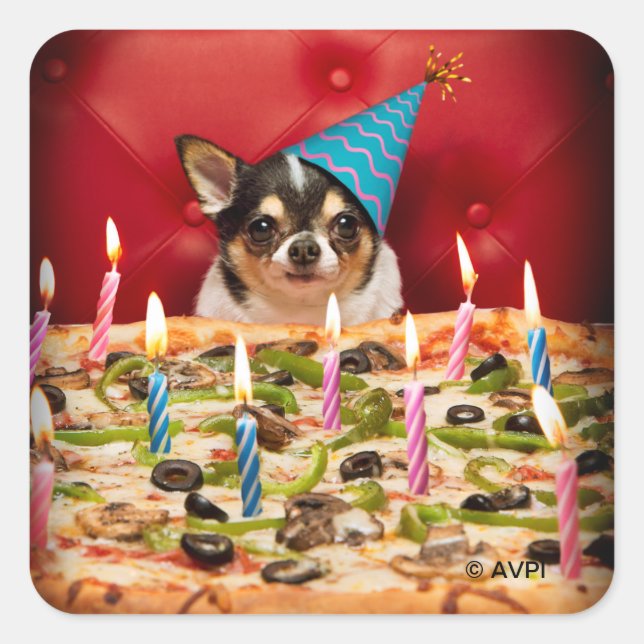 Chihuahua Birthday Pizza Pie Square Sticker (Front)