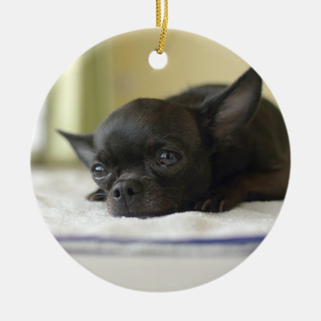 chihuahua black ceramic ornament (Front)