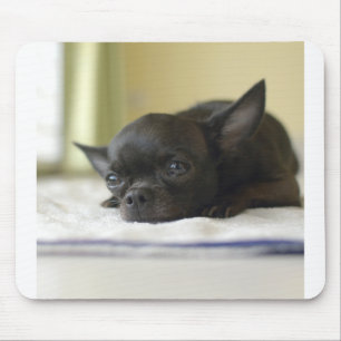 chihuahua black mouse pad