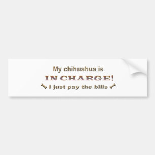 chihuahua bumper sticker